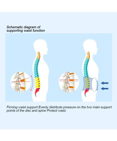 Summer Unisex Lumbar Spine Support Belt - Pain Relief Waist Brace (Size M) for Comfortable Back Support - Shop Internationally - Buy Online on GoSupps.com