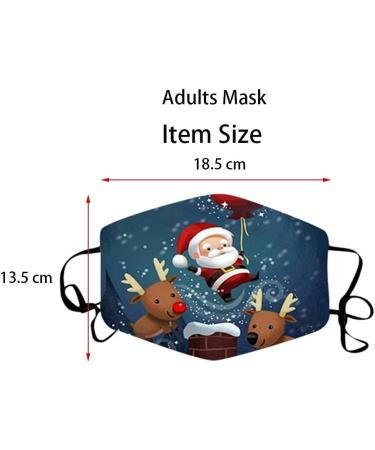 1 Pieces Adults Protect_Cover_Mask Washable Reusable Christmas Print With Filter Pocket Adjustable Earloops (I) - Buy Online on GoSupps.com