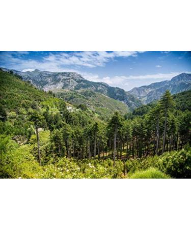 Organic Greek Oregano from Vordonia - Premium Dried Oregano Leaves (30g) - Buy Online on GoSupps.com