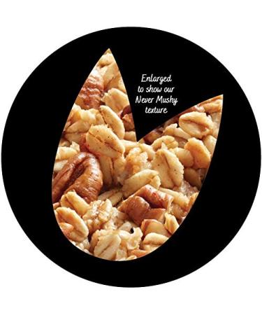 Umpqua Oats Maple Pecan â€“ All Natural Premium Oatmeal Packets (12 Pack, Non-GMO) - Buy Online on GoSupps.com