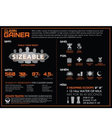 Rivalus Rival Nutrition Clean Gainer | High Protein Lean Mass Gainer Powder | 560 Calories 30g Protein 99g Multi-Source Carbs | 31 Servings (10LB Vanilla) Vanilla 31 Servings (Pack of 1) - Buy Online on GoSupps.com
