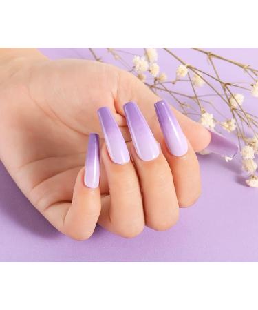 AIMEILI Gel Nail Polish Set 8ml 12 Colours Soak Off UV LED Gel Nail Polishes Nail Art Gel Polish Gift Kit 19 KIT12-19_8ML 8 ml (Pack of 1) - Buy Online on GoSupps.com
