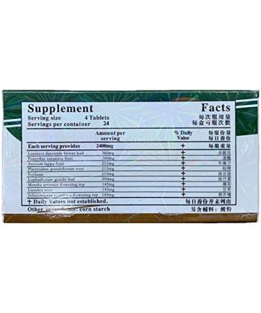 Yin Qiao Yin Chiao Chieh Tu Pien 600MG - 96 Tablets | Extra Strength Cold & Flu Support - Buy Online on GoSupps.com