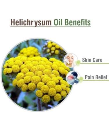Helichrysum Essential Oil (Helichrysum Italicum) 100% Pure & Natural - Undiluted Uncut Oil 50 ML with Dropper (15 ML with Dropper) Helichrysum 50 ml (Pack of 1) - Buy Online on GoSupps.com
