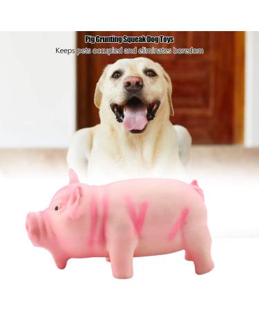 Buy Liebewh Squeaky Pig Dog Toy - Pink Latex Puppy Play Stuff for Dogs | Best International Shipping - Buy Online on GoSupps.com