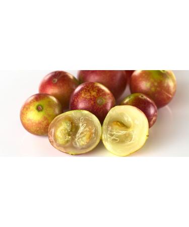 Kiva Organic Camu Camu Powder - Antioxidant Rich Vitamin C Supplement | Non-GMO Raw Vegan | 3.5oz Bag - Buy Online on GoSupps.com