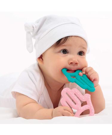MinikOiOi Toothee - Teal 101040001 | Soft Silicone Teether | Perfect for Baby's Oral Care | Shop Internationally - Buy Online on GoSupps.com