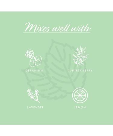 Now Foods Organic Peppermint Essential Oil 4 fl oz - Pure & Natural Aromatherapy - Buy Online on GoSupps.com