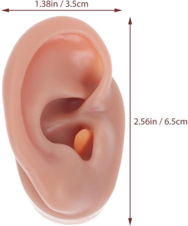Buy Minkissy Silicone Human Right Ear Model | Fake Ear for Piercing & Acupuncture Simulation | 6.5x3.5 cm - Ideal for Body Part Ads - Buy Online on GoSupps.com