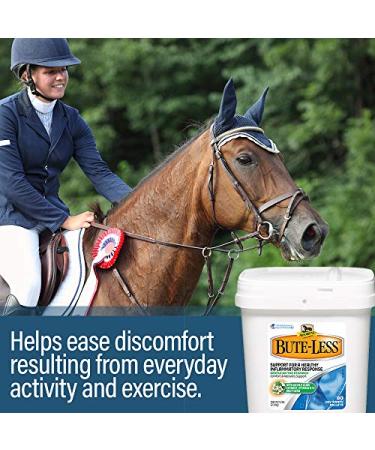 Bute-Less Comfort & Recovery Supplement Pellets | 80 Day Supply for Horses - Buy Online on GoSupps.com