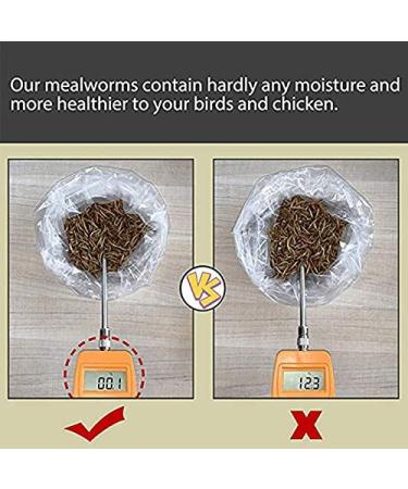 Non-GMO Dried Mealworms & Black Soldier Fly Larvae - High-Protein Treats for Chickens, Fish & Birds - 11lb Pack - Buy Online on GoSupps.com