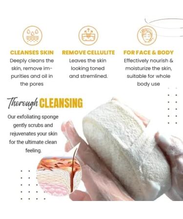 StemSpa Nanocell Exfoliating Sponge - Improve Skin Health & Reduce Cellulite (1PC) - Buy Online on GoSupps.com