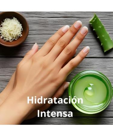 Aloe Vera Gel Pure | Naturally Derived | Alcohol Free | Moisturizing Regenerating & Soothing | Sensitive or Atopic Skin | Maximizes Hydration | Maintains Skin Elasticity | BILCA | 250ml - Buy Online on GoSupps.com
