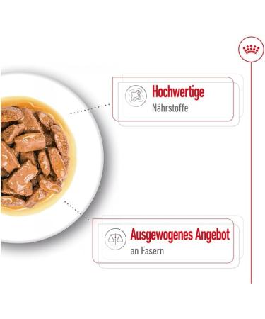 ROYAL CANIN Maxi Adult | Double Pack | 2 x 10 x 140 g | Complete Food for Dogs | for Large Adult Dogs (26 to 44 kg) | From 15 Months to 5 Years - Buy Online on GoSupps.com