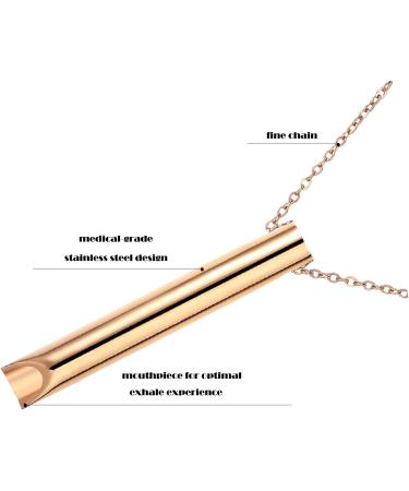 NexMe Stress Anxiety Relief Mindful Breathing Necklace - Breathwork Tool for Meditation & Relaxation (Silver) - Buy Online on GoSupps.com