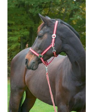 Buy Kerbl Nylon Halter Hippo - Adjustable Halter for Ponies Shetlands and Full Cob Sizes in 6 Colors | International Shipping Available - Buy Online on GoSupps.com
