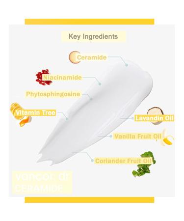 Dr Vancor Ceramide Cream 10000ppm - Korean Glass Skin Moisturizer 60ml | Achieve Radiant Glass Skin - Buy Online on GoSupps.com