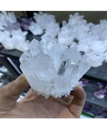 Home Decoration 1pcs Natural Crystal Cluster Raw Quartz White ReikiStones Crystal Point Specimen Home Decoration Ra Crystals Stones ZJGIDTEM (Size : 700-800g) - Buy Online on GoSupps.com