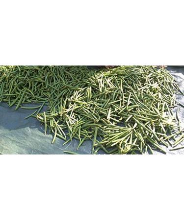 25 Madagascar Vanilla Beans Grade B by FITNCLEAN VANILLA| Bulk Bourbon Whole Natural Raw NON-GMO PODS. 25 Count (Pack of 1) - Buy Online on GoSupps.com