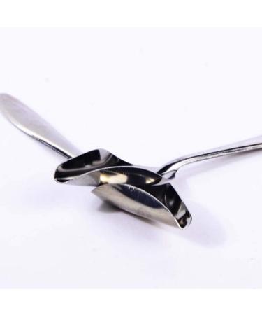 Folewr 5 Pcs Baby Bird Pointed Feeding Spoon Stainless Steel Milk Medicine Parrot Feeder for All Baby Bird Peony Cockatiel Household Pet Feeding Supplies - Buy Online on GoSupps.com