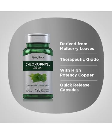 Piping Rock Chlorophyll Capsules | 60 mg | 120 Pills | Supplement for Women and Men | from Mulberry Leaf | Non-GMO Gluten Free - Buy Online on GoSupps.com
