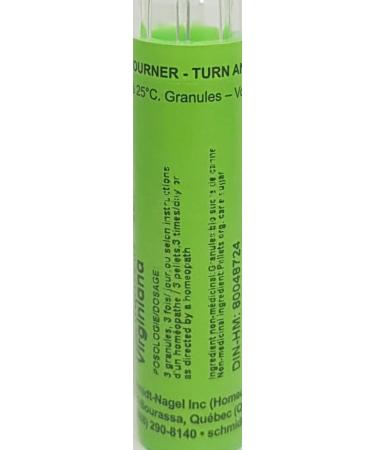 Hamamelis Virginiana 6CH Homeopathy Medicine Schmidt-Nagel Canada (Homeodel) 90 pellets/granules - Buy Online on GoSupps.com