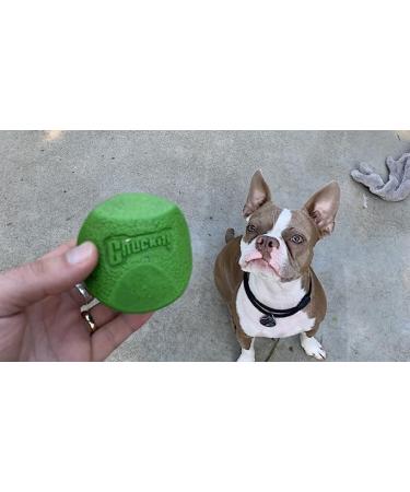 ChuckIt! Fetch Rubber Dog Ball Medley Strato Erratic Ultra Squeaker Balls for Dogs Durable High Bounce Launcher Compatible Dog Toy Gen 2 - 3 Pack Medium Multi Medium - Buy Online on GoSupps.com
