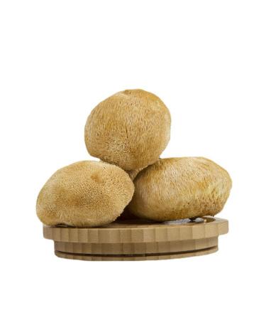 Hericium Erinaceus Lions Mane Mushroom HOU TOU Gu (500g(1.10pounds)) 6 count (Pack of 1)