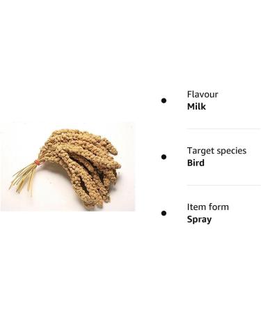 1KG PREMIUM MILLET SPRAY HANGING CAGE BIRD TREAT BUDGIE CANARIES COCKATIELS WEIGH OUT BAG - Buy Online on GoSupps.com
