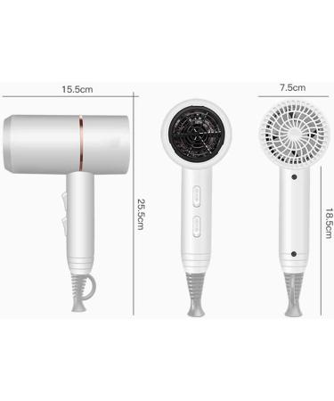 1800W Professtional Hair Dryer Salon Hairdryer Ionic Hair Dryer Portable Hair Dryer 2 Speed and 3 Heat with Nozzles Overheat Protection Low Noise Lightweight for Home Use Travel Black Small - Buy Online on GoSupps.com