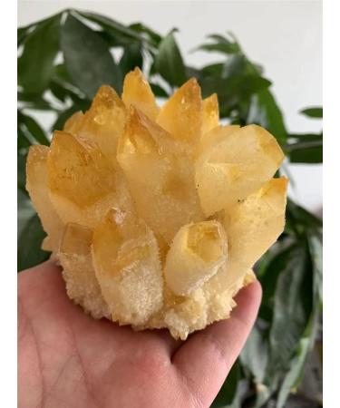 Home Natural Yellow Tibetan Stone Crystal Cluster Quartz Crystal Cluster Spiritual Specimen Home Aquarium Office Decor JITZEGMD (Size : 700-800g) - Buy Online on GoSupps.com