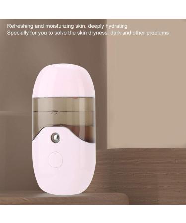Nano Face Mister Spraying Machine 50ml Capacity Nano Sprayer Portable Handheld Face Moisturizing Spraying Machine(Pink) - Buy Online on GoSupps.com
