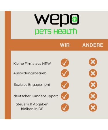 Wepo Frisbee Dog Toy Set - 18cm | Water-Resistant Training Toys for Big Dogs | Durable Red/Purple/Green Discs for Outdoor Play & Training - Buy Online on GoSupps.com
