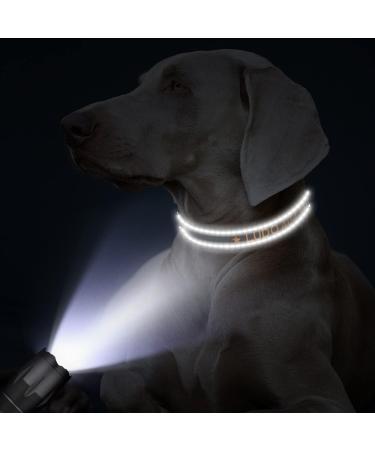 Buy Tagme Personalized Dog Collar for Small Dogs | Embroidered Reflective Nylon with Pet Name & Phone Number - Black XS (1 Pack) - Buy Online on GoSupps.com