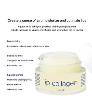 Lip Collagen with Peptide & Stem Cell Complex Lip Balm for Dry Lips a Lip Moisturizer for Lip Care and Lip Treatment - Buy Online on GoSupps.com