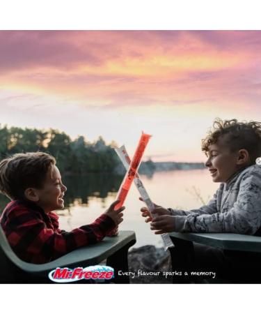 Mr. Freeze Jumbo - Freeze Pops Assorted Flavours (6) 27 x 150ml 150 ml (Pack of 27) - Buy Online on GoSupps.com