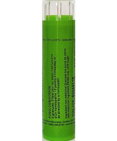 Buy Pyrogenium MK (1M) Homeopathy Medicine - Schmidt-Nagel Canada | 90 Pellets/Granules for International Shipping - Buy Online on GoSupps.com