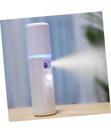 DRESSOOS Mist Sprayer 2pcs Spray Meter House Humidifier Small Humidifier Plant Diffusers Beauty Sprayer Mini Sprinkler - Buy Online on GoSupps.com