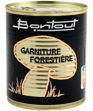  Bontout Pack of 3 Forestry Filling - 455g Box - Buy Online on GoSupps.com