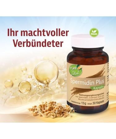 KOPP Vital Spermidine Plus Capsules | Coenzyme Q10 & NAD+ | 30 Count Dietary Supplement for Optimal Health - Buy Online on GoSupps.com