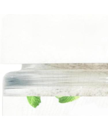 Toothpaste Powder 80g Mint Flavor Instant Whitening Dental Powder | Dental Care Product | For Daily Oral Hygiene at Home and While Traveling - Buy Online on GoSupps.com