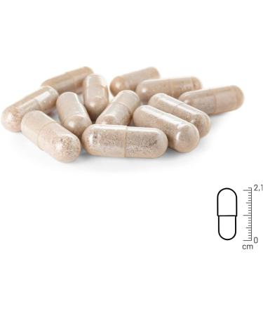 Reavet Green Lip Shell Capsules for Dogs - High-Dose Joint Support Tablets 300 PCS with Premium Green-Lipped Mussel Powder - Buy Online on GoSupps.com