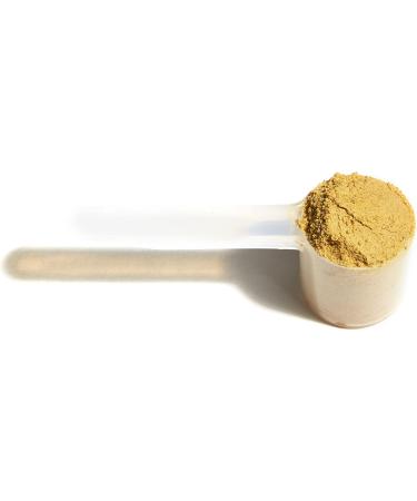 Natural Factors Whole Earth & Sea Golden Milk Soothing Boost 4.4 oz Powder - Buy Online on GoSupps.com