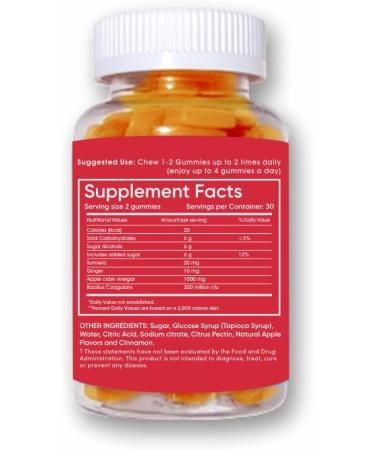 Buy SkinnyMint Super ACV Gummies | 4-in-1 Apple Cider Vinegar Probiotics Turmeric & Ginger for Gut Health Digestion Metabolism & Immune Support - 60 Count - Buy Online on GoSupps.com