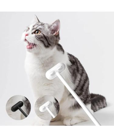 WondFans Long Handle Cat Massage Brush (GREEN) - Buy Online on GoSupps.com