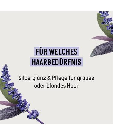 Guhl Ikebana Guhl SILBER SHINE AND CARE Shampoo 50ml - Buy Online on GoSupps.com