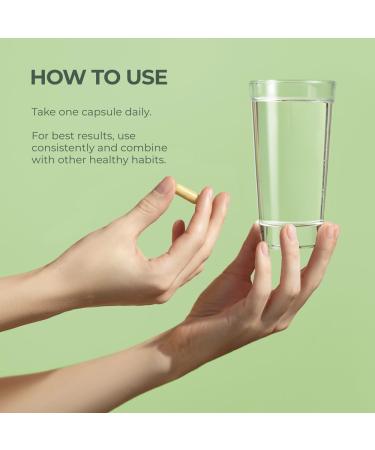 Primal Multivitamin + Primal Creatine Powder Bundle | 2-Pack | Support Daily Nutrition Energy & Muscle Strength | 30 Servings Each - Buy Online on GoSupps.com