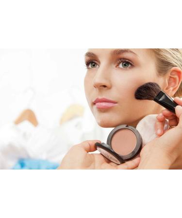 SHANY Paraben Free Powder Blush Fresh - Buy Online on GoSupps.com