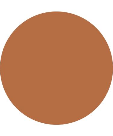 WYCON cosmetics Everyday Wear Liquid Concealer liquid with semimatte finish NW50 - Buy Online on GoSupps.com