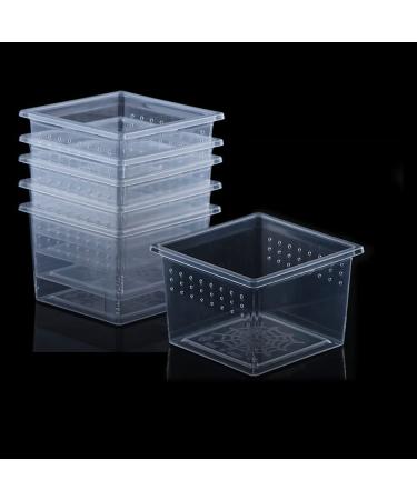 10 Pcs Small Acrylic Insect Spider Terrariums Breeding Box - Ideal for Small Reptiles, Scorpions, and Centipedes - Buy Online on GoSupps.com